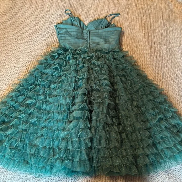 Unique Vintage Tulle Ruffle Cupcake Dress - Picture 6 of 8